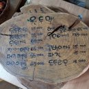 애룡원두막 이미지