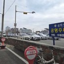 늘푸른참가자미횟집 | 포항 흥해시장 22번횟집:) 2호점오픈~! 참가자미 물회 단골 후기