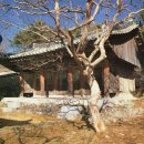 문화안길23 이미지