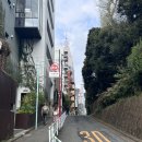 여주-0068 | 도쿄 셋째날: 신주쿠 교엔, 키리무기야 진로쿠 우동, 뉴우먼 shiro, 키타산도 커피, 시부야 KITH, 휴먼...