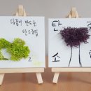 도당중 이미지