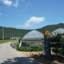 춘배농장 이미지