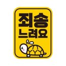 제제 쇼핑하우