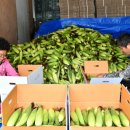 봉양5길 이미지