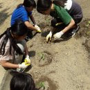 적중농장 이미지