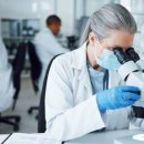 더앤퓨어 이미지