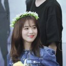 개이뻐 네이버블로그