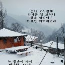 전남 구례 민박집 매매 이미지