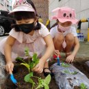 상록어린이집 이미지