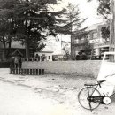 팔룡동255 이미지