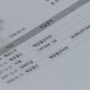 퍼시픽인터내셔널해운(주)