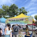 토토렌트카(주) | 7박 9일 하와이 자유여행, 호놀룰루 에어비앤비 추천(위치 굿), 탄탈루스 전망대