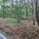 천보산자연휴양림 이미지