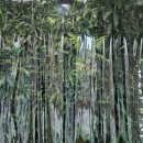 서촌로20번길 이미지