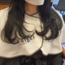 헤어살롱이유
