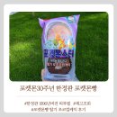 GS25부천원종로점 | 포켓몬빵 30주년띠부씰 재고조회부터 구입후기까지