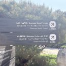남산길하우스