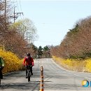 국도31호선(구) 뉴시스