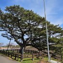 수산리-4 이미지