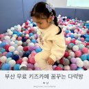 책으로 꿈꾸는 놀이터 | 부산 무료 키즈카페 추천 구포 꿈꾸는다락방 이용 후기