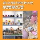 패러그린 | 부산 햄스터 분양 전문점 패러그린 대연점 솔직 후기