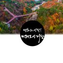 행정07 이미지