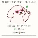 강아지톡 이미지