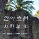 산야초원 네이버블로그