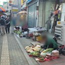 마주봄펫 | 5월 대구 화원 오일장(1·6일장) 장날 후기 봄 보양식 고디와 정겨운 노점 풍경 이야기