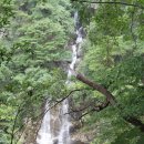 소가주천 이미지