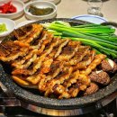 주 세계장어 이미지