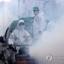 제일방역 이미지