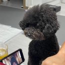주문진원마트 이미지