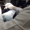 (주)케어이즈 이미지