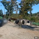 무지개펜션&캠핑 | 영흥도 무지개펜션&amp;캠핑 캠핑 후기