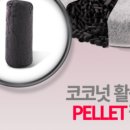 명품고양이카페 이미지