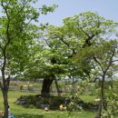 채운산방 이미지