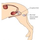 하일동물병원 이미지