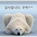 뉴질랜드 새댁(a.k.a. 한여사) 블로그를 &#39;일상체계화 연구소&#39; 소장이신 센체님 도움을 받아 새단장한 후기