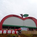 장수 사과랑 한우랑 축제~ 방화계곡 휴양림 이미지