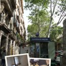 가고싶은민박 | 바르셀로나 한인민박 추천 카탈루냐 광장 조식 주는 모리하우스