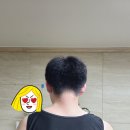 별하핏 이미지