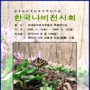 한국나비