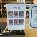 나우동물의료센터 | 천안 동물병원 슬개골 탈구검진(정형외과) 잘하는 곳 나우동물의료센터 백석점 추천해요~