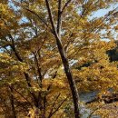 내계마을 이미지