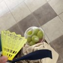 배가찐왕만두전대 이미지