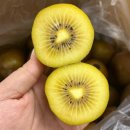 🍑 환타지아 복숭아 🍇 머루포도 🥭 태추단감 🍑 백도 황도 🍈 머스크메론 🍊 하우스귤 이미지