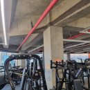 알짐 리커버리 이미지