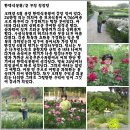 가자숲으로 이미지