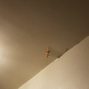 굴왓공원 이미지